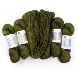 Hedgehog Fibres Sock Yarn Swamp Song